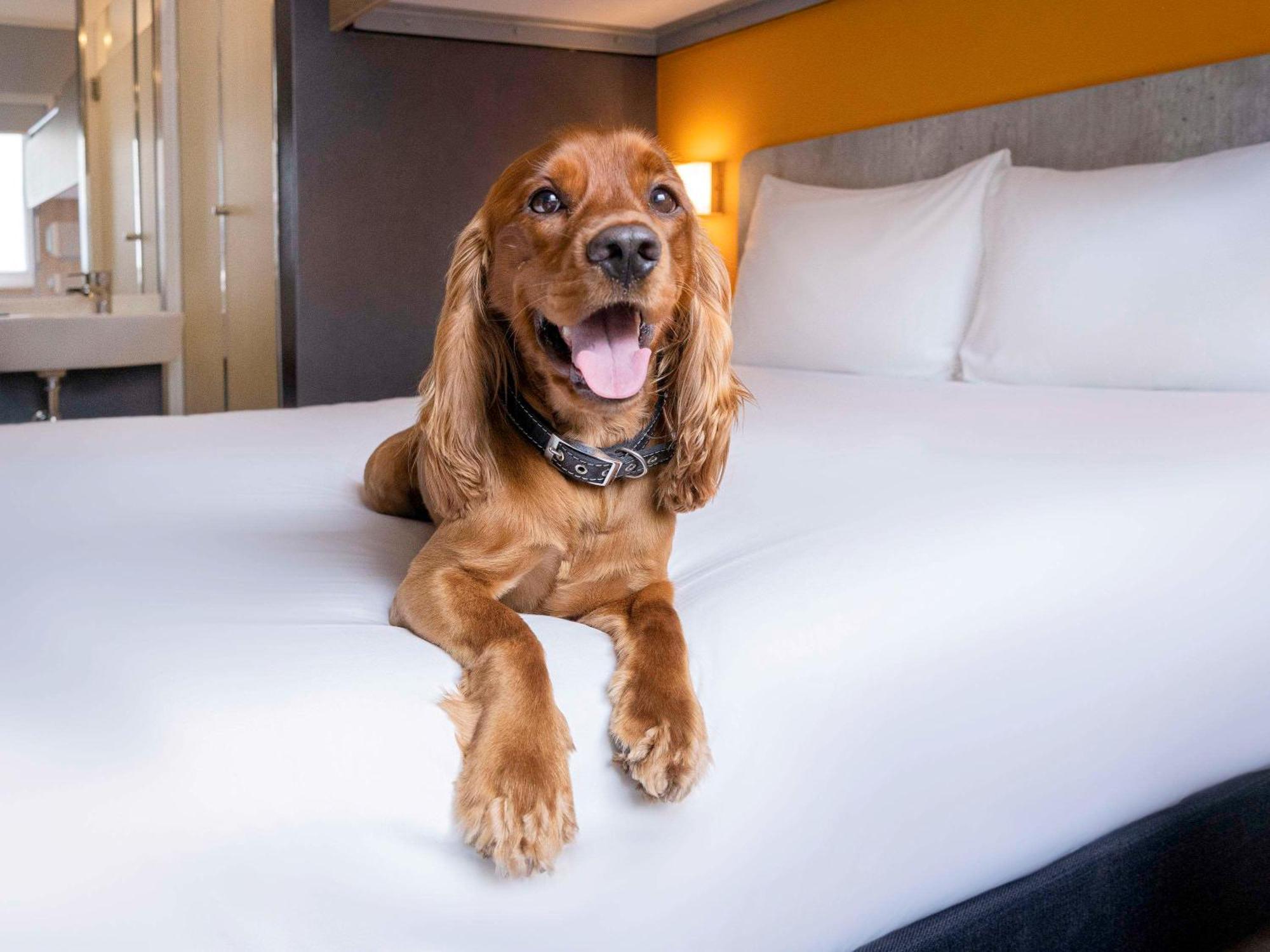 Ibis Budget Lima Miraflores Exteriör bild